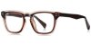 Color Brown