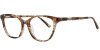 Color Brown