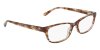 Color Brown