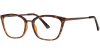 Color Brown