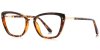 Color Tort