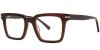 Color Brown