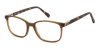 Color Brown