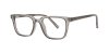 Color Gray