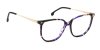 Color Purple