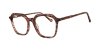 Color Brown
