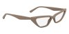 Color Brown