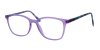 Color Clear/ Purple