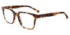 Color Tort