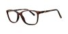 Color Brown