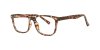 Color Brown