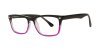 Color Multi/ Black