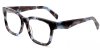 Color Multi/ Black