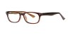 Color Brown