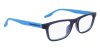 Color Blue