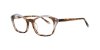 Color Brown