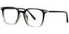 Color Multi/ Black